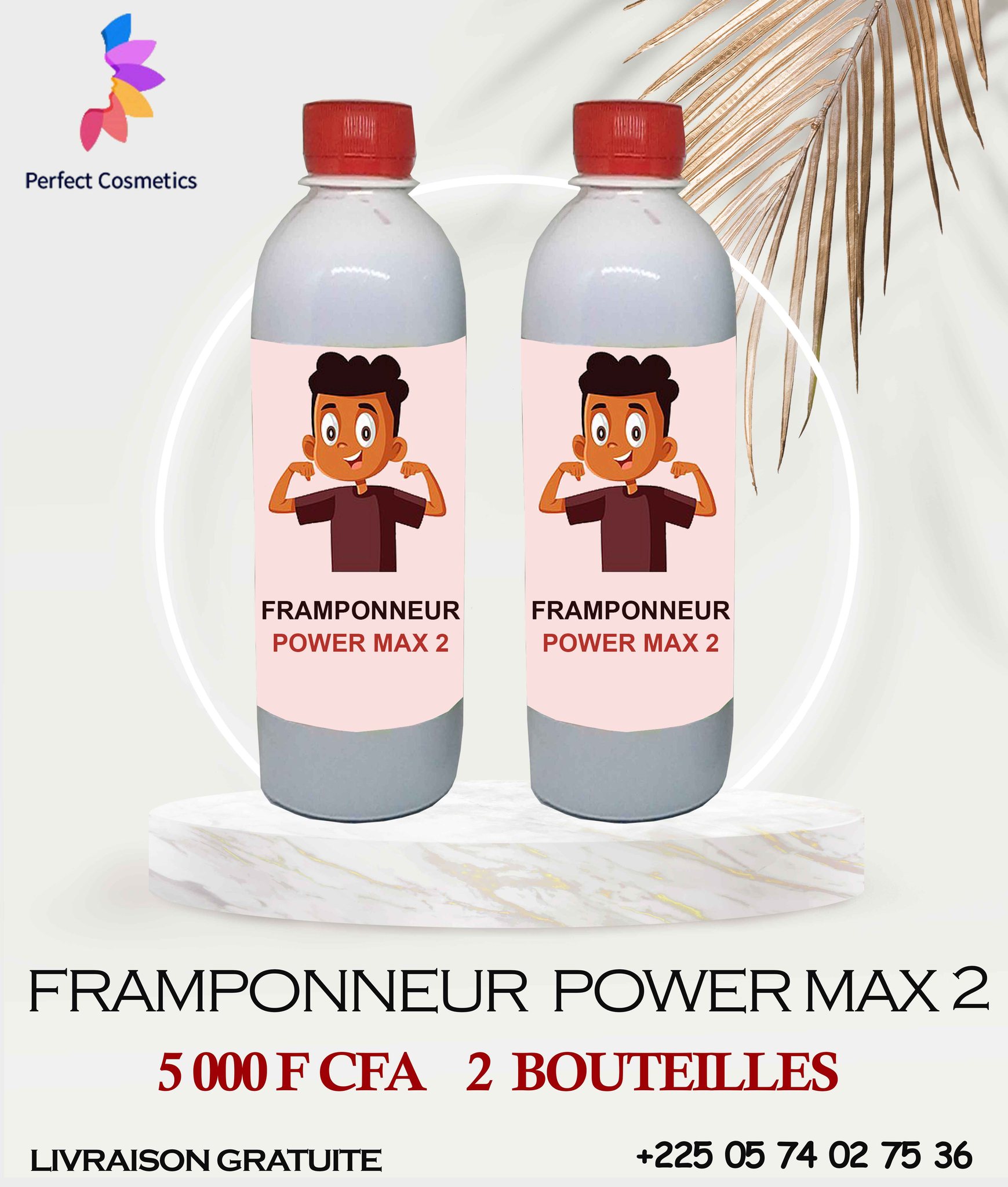 Framponneur POWER MAX 2